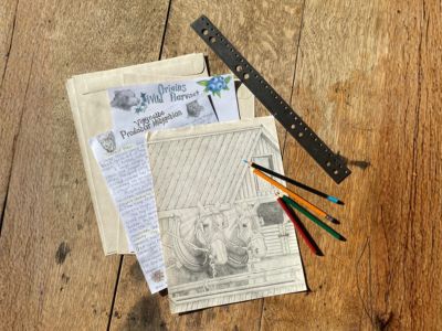 Taking Root In Hard Ground - Newsletter