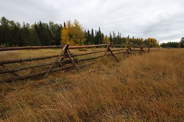 Rail fence